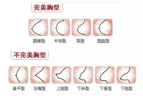 女人乳房长什么样最完美？最标准的乳房形状长什么样？[图]