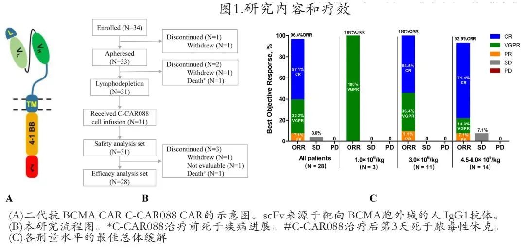 西比曼二代CAR-T产品1期临床结果发表，客观缓解率达96.4%