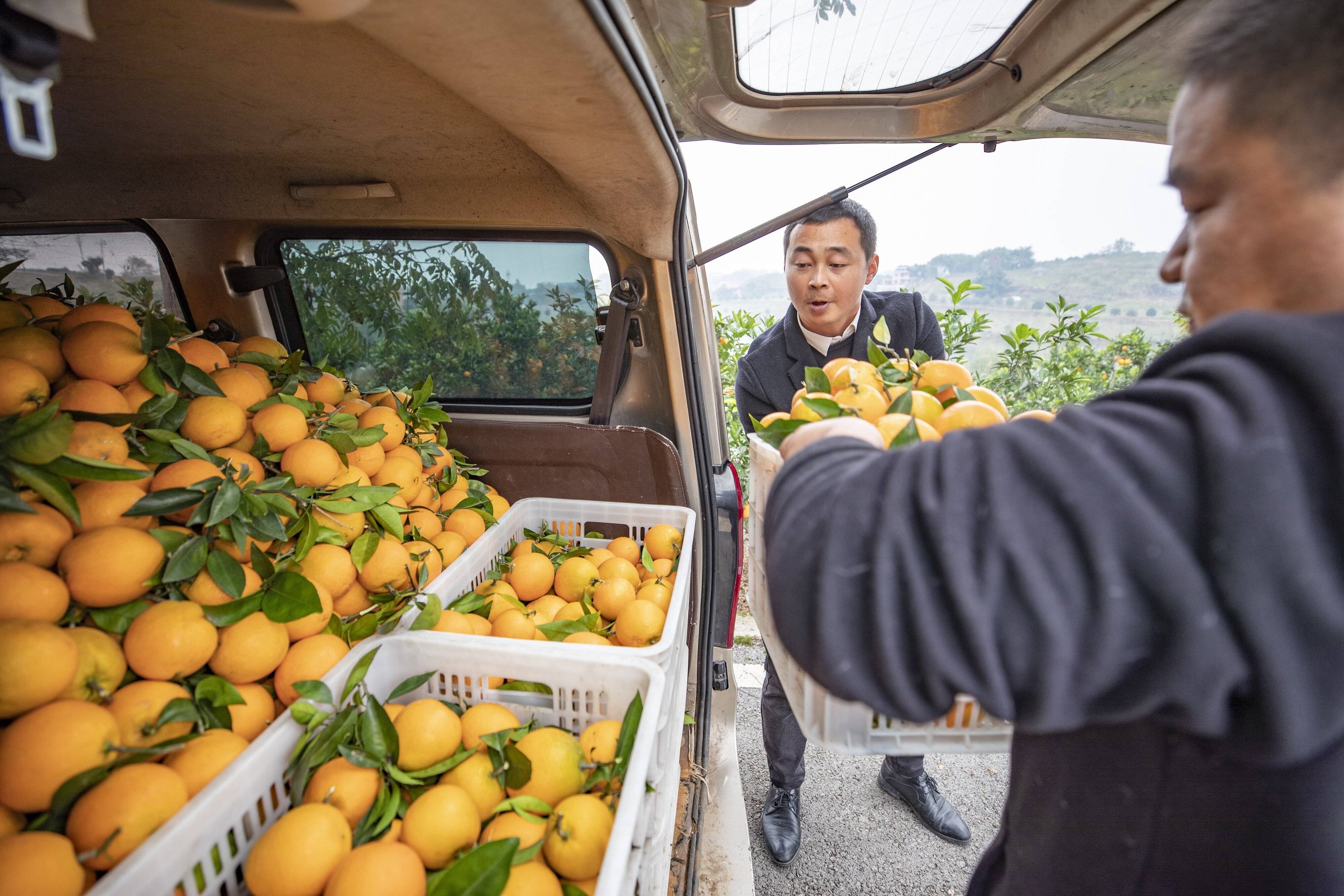 中共中央、国务院印发了《扩大内需战略规划纲要（2022－2035年）》（以下简称纲要），并发出通知，要求各地区各部门结合实际认真贯彻落实。